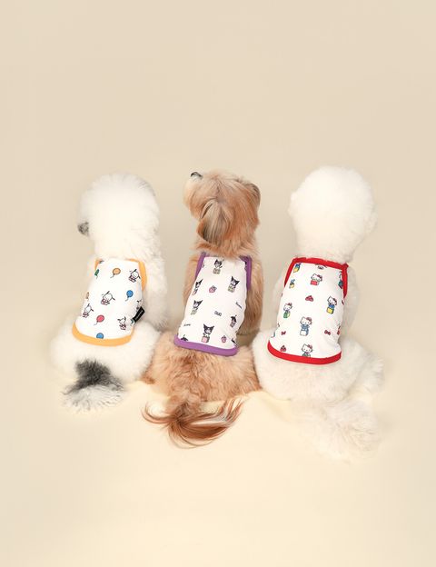 image_8520F707-4ADD-4095-ACC6-C7D2C2AF86AA_1785443631