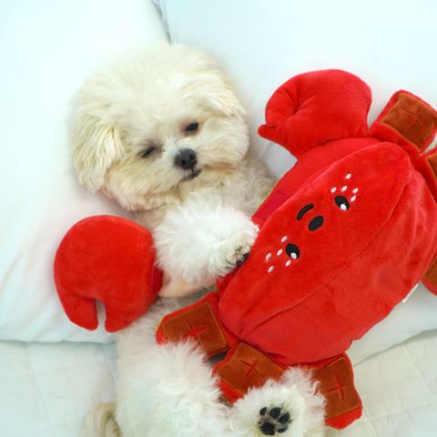 image_BD6D1BD7-13DD-40AA-9F3A-D68E1624529E_1788168214