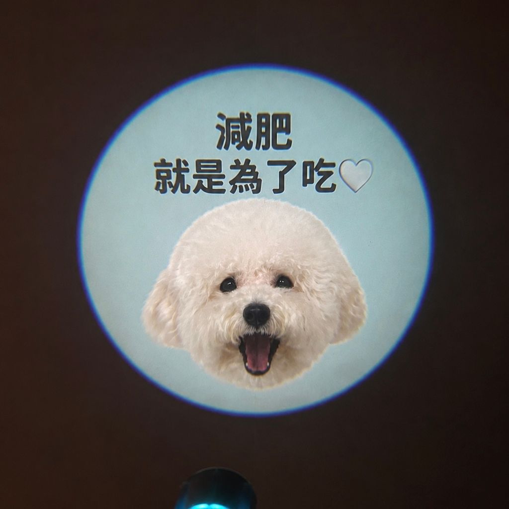 image_62E4EFFC-1CE6-469F-BD1E-C0939EEF105E_1788522570
