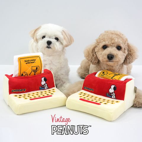 22.-PEANUTS-VINTAGE-TYPEWRITER-TOY-首圖