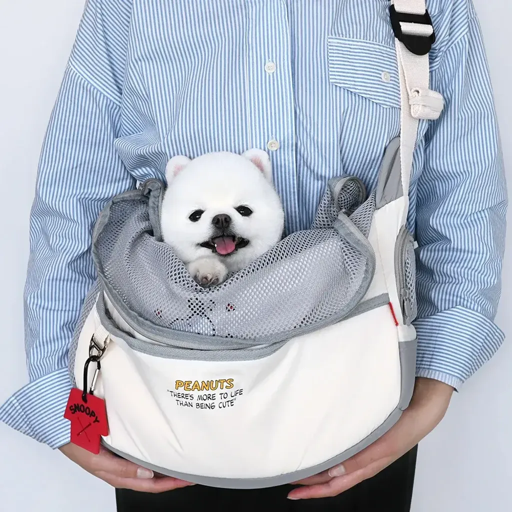 P-30.-PEANUTS-HELLO-SLING-BAG-首圖.jpg