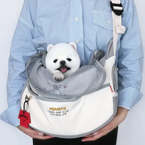 P-30.-PEANUTS-HELLO-SLING-BAG-首圖.jpg