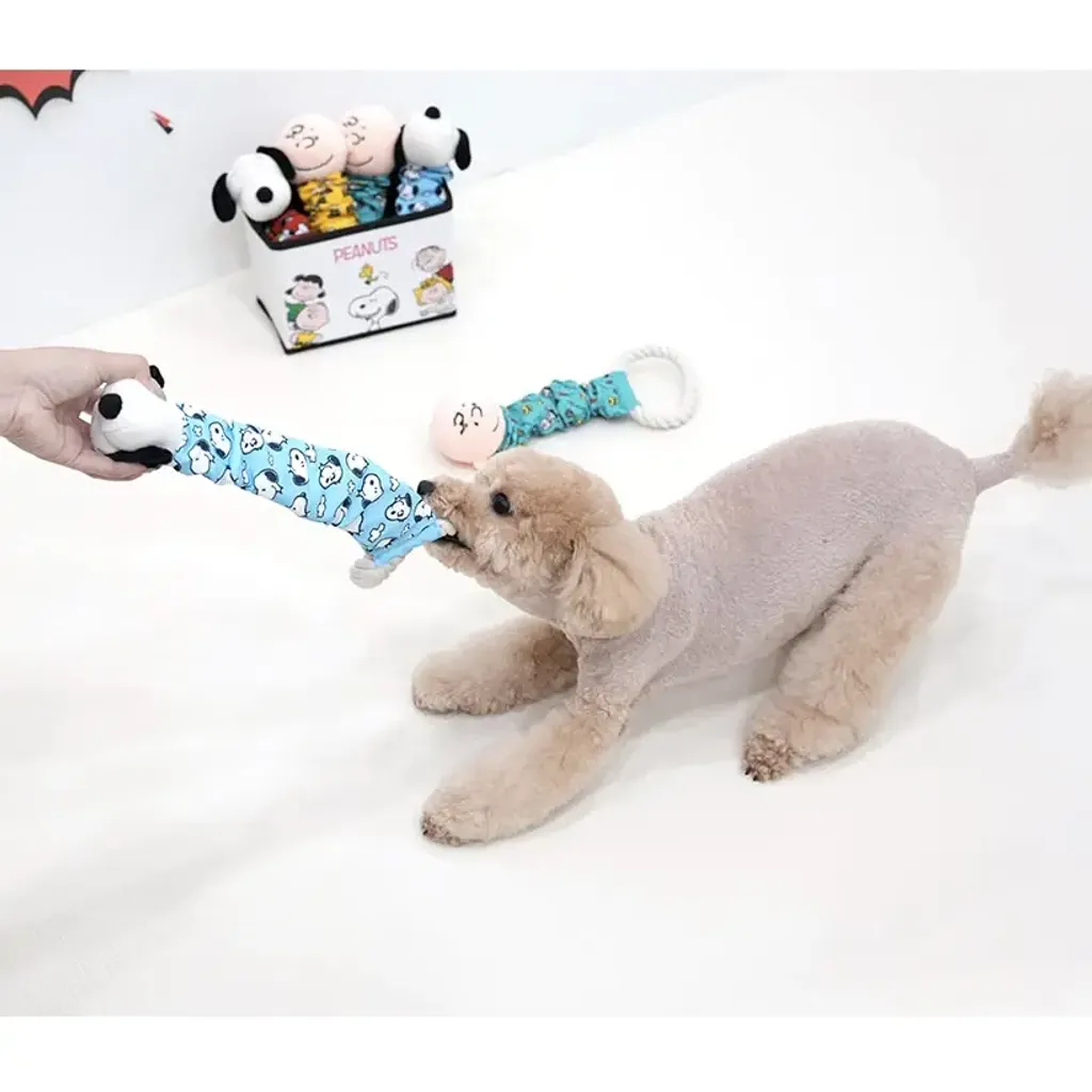 tw-11134207-7r98t-lxxknmporrxsee@resize_w900_nl