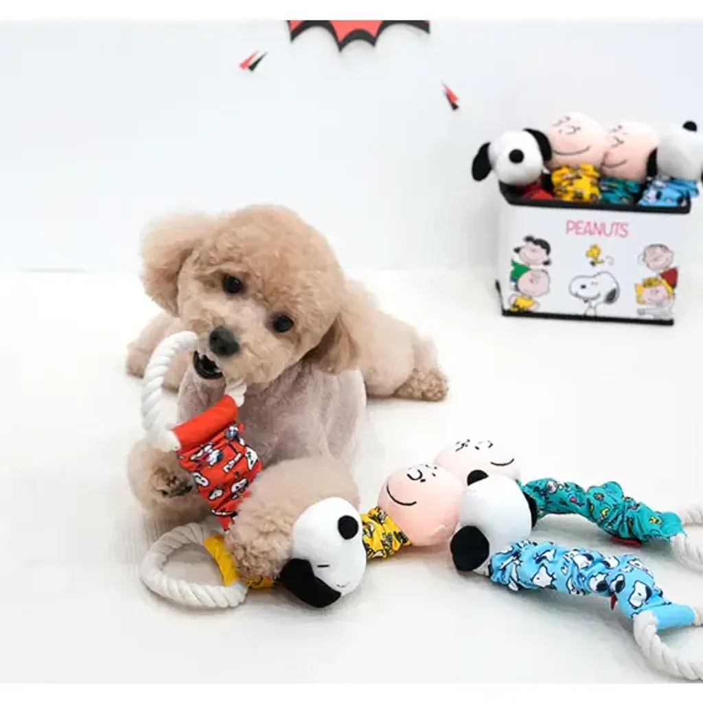 tw-11134207-7r992-lnqzsygokf9586@resize_w900_nl