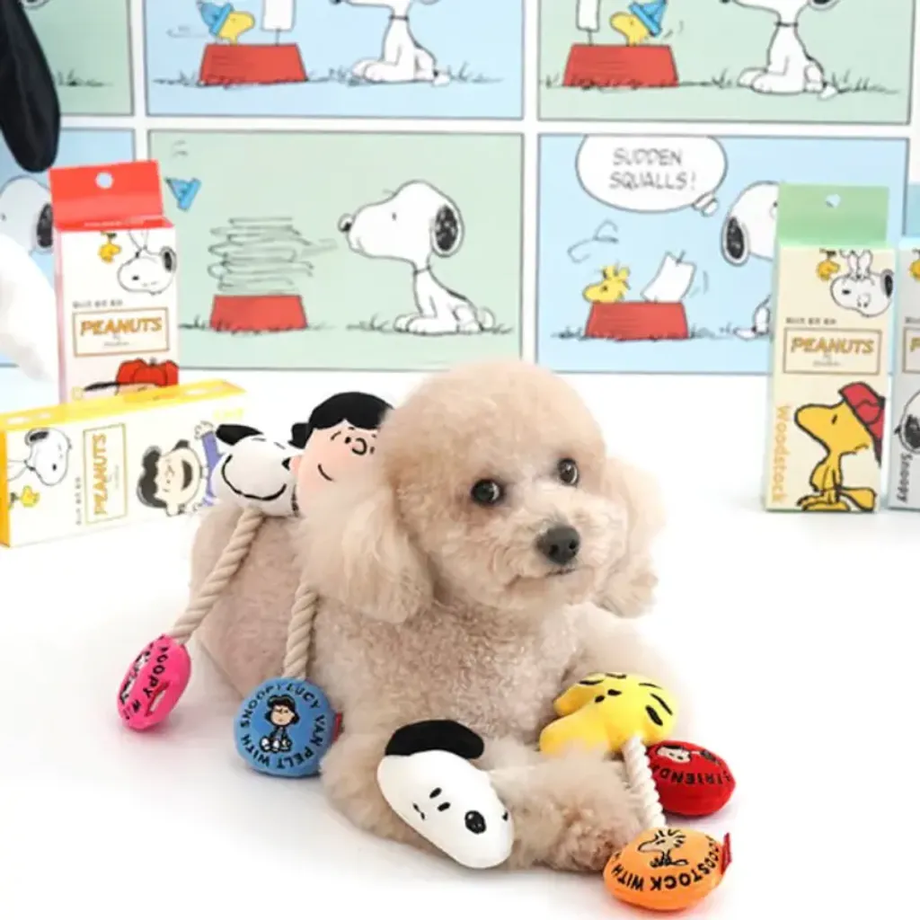 tw-11134207-7quky-ljwzfhpxlnpp1e