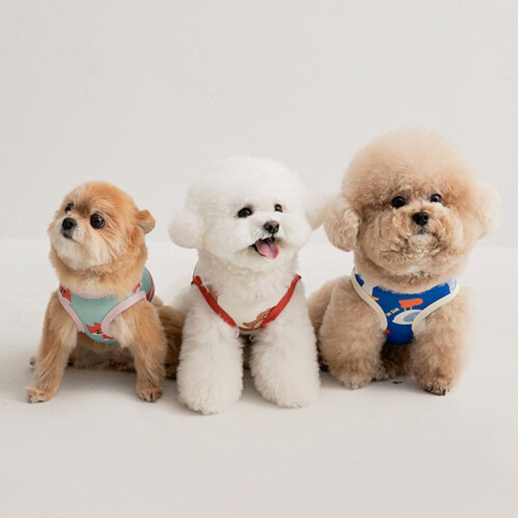 2ccbd83392ad3e3273532ddc344cd0b9