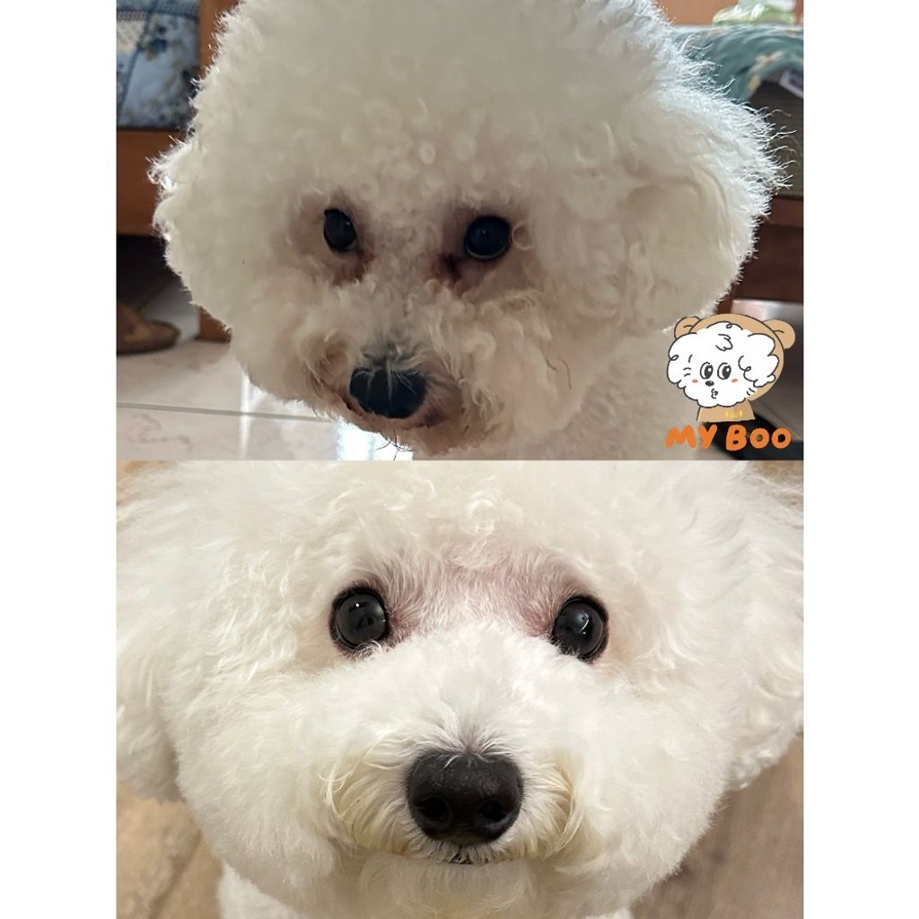 P6320411045671_4_101914811