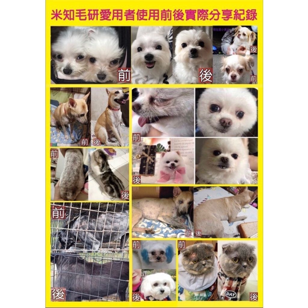 P6320411045671_4_101914812