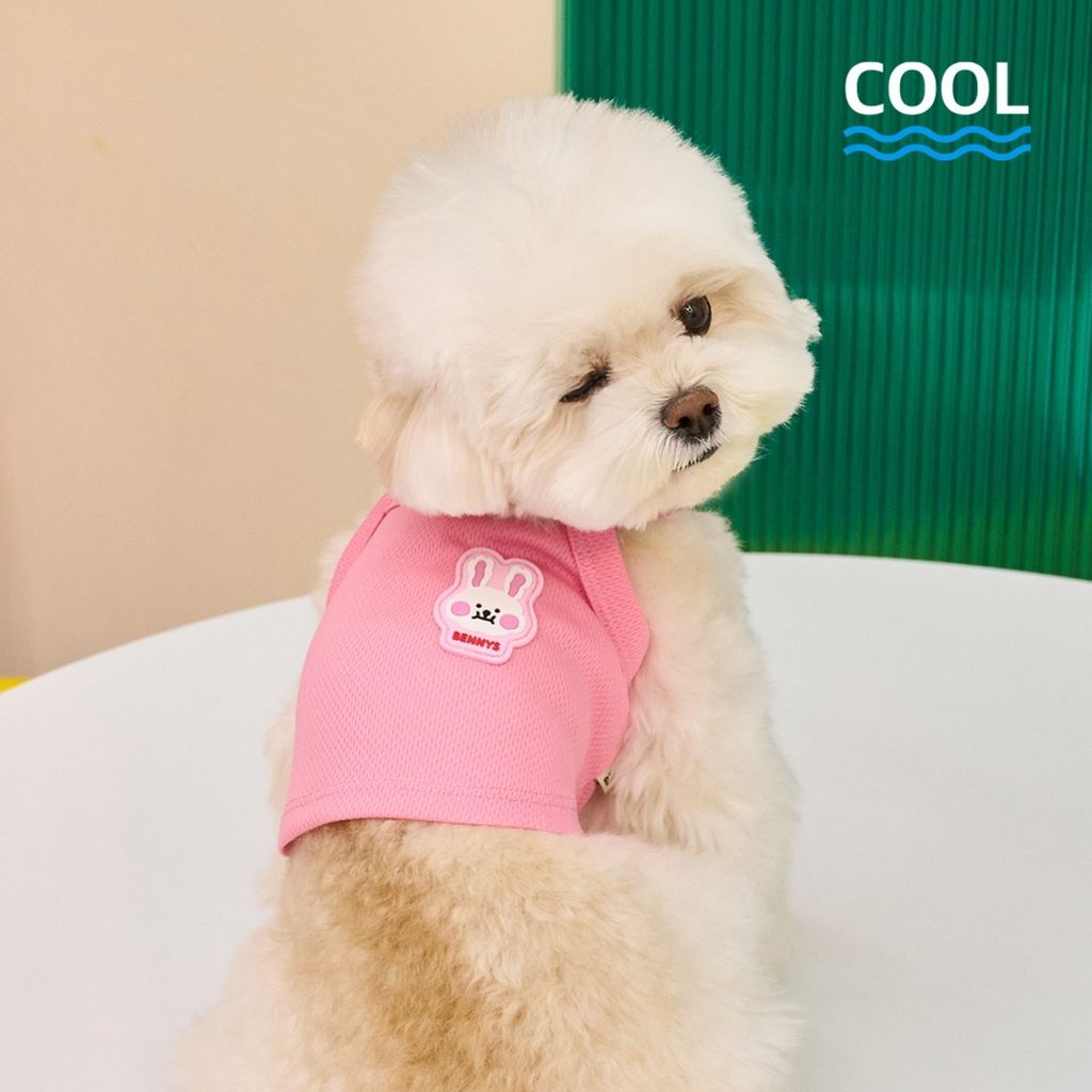 d64dbde89b8f2fd8af525d121fbb4cb6