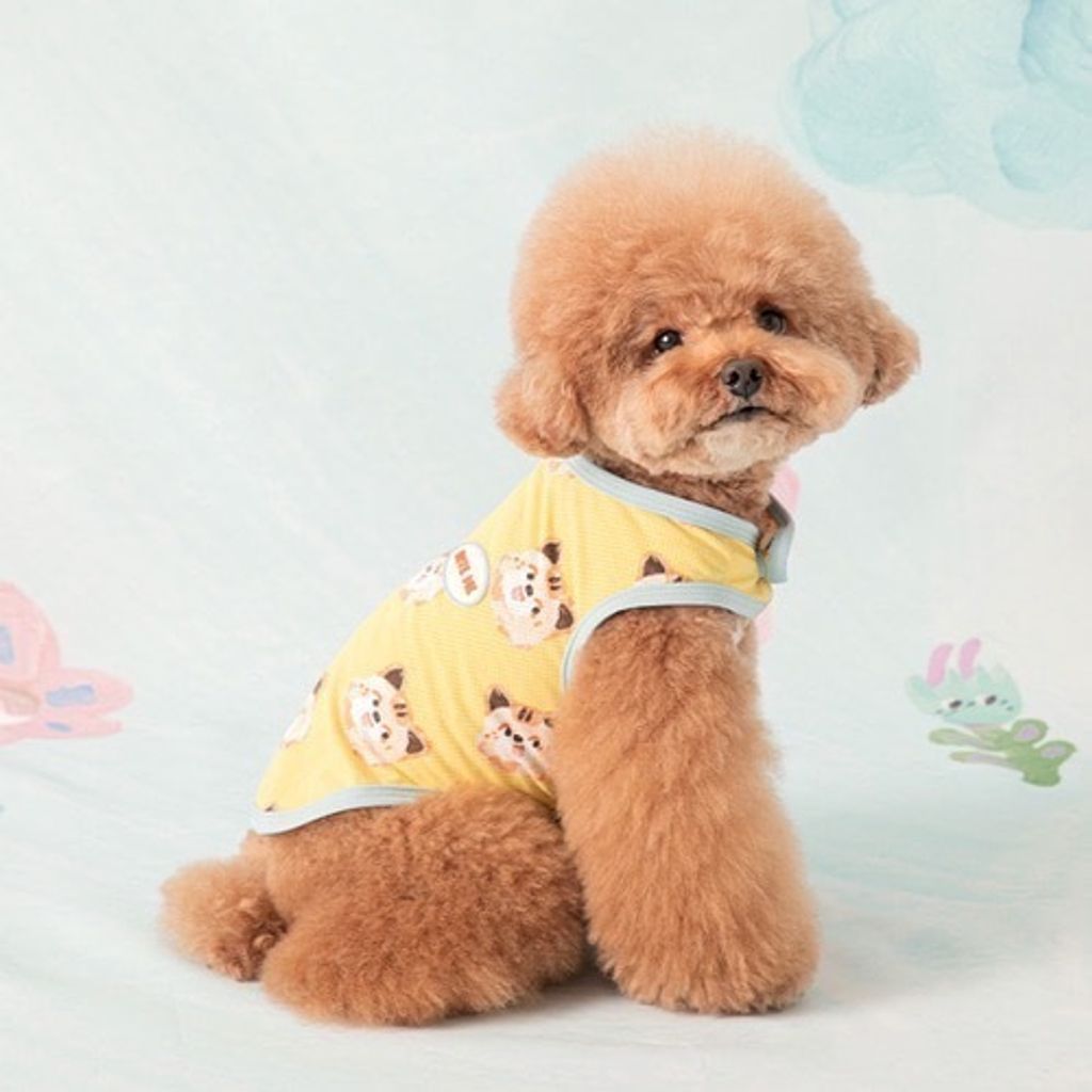 P6320410810792_4_104368103