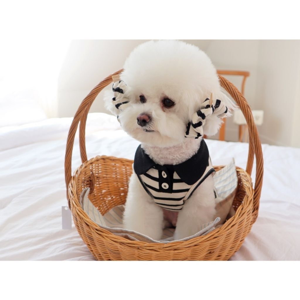 P6320410961842_SPEC_0_1