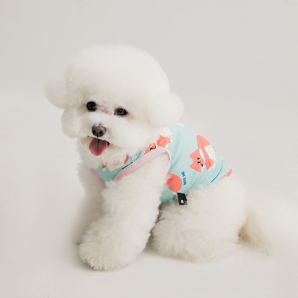 8688b0a2fe2bdc134ae37981ea90ae9d