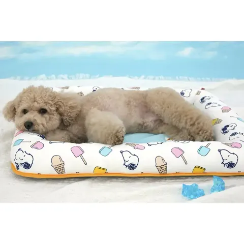 tw-11134207-7r98y-lxxjivek1fza05