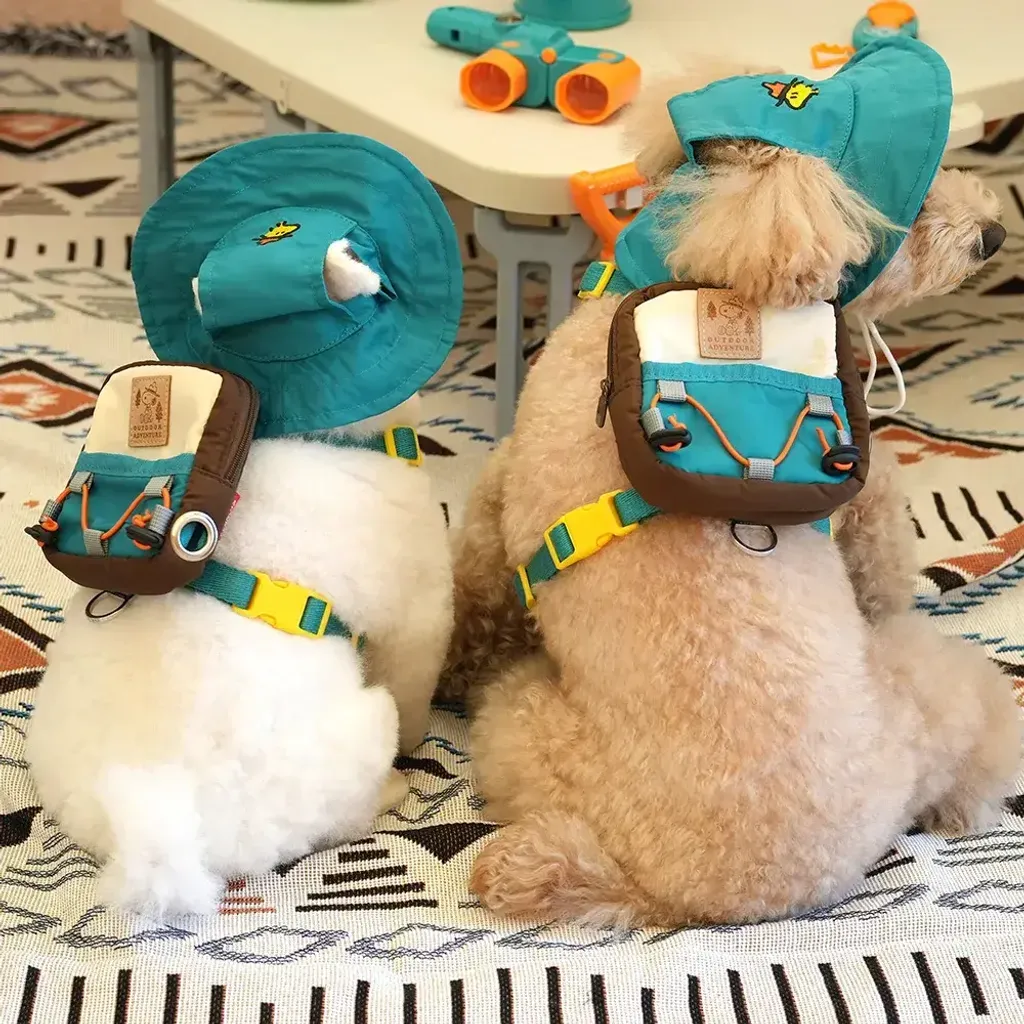 35.-PEANUTS-ADVANTURE-2WAY-BACKPACK-HARNESS-SET-首圖.jpg