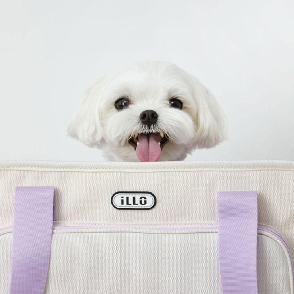 shop1_a73140a79082f789c76123f847c6b311