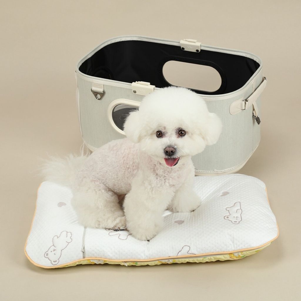 LINE_ALBUM_Ritogato_250723_10