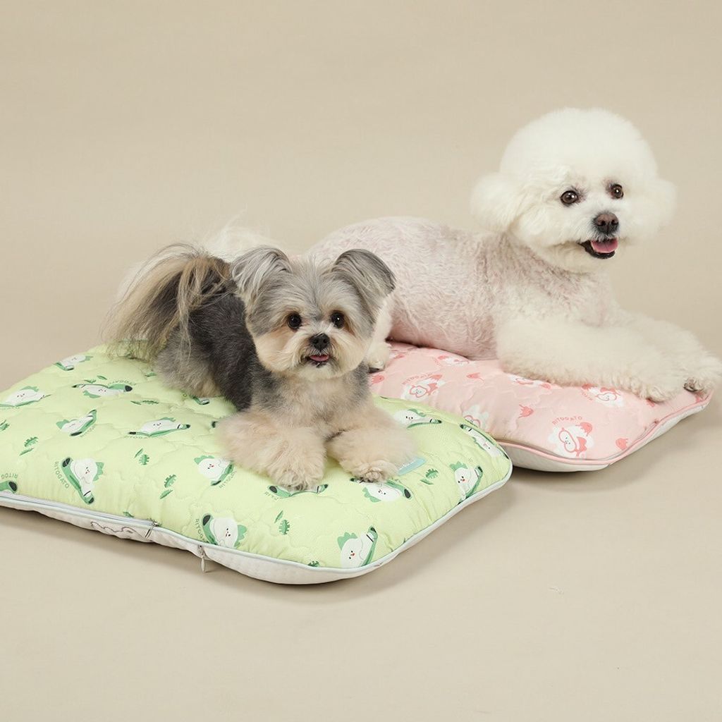 LINE_ALBUM_Ritogato_250723_16