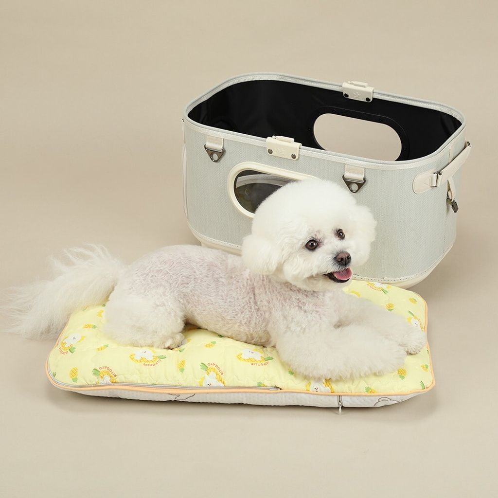 LINE_ALBUM_Ritogato_250723_11