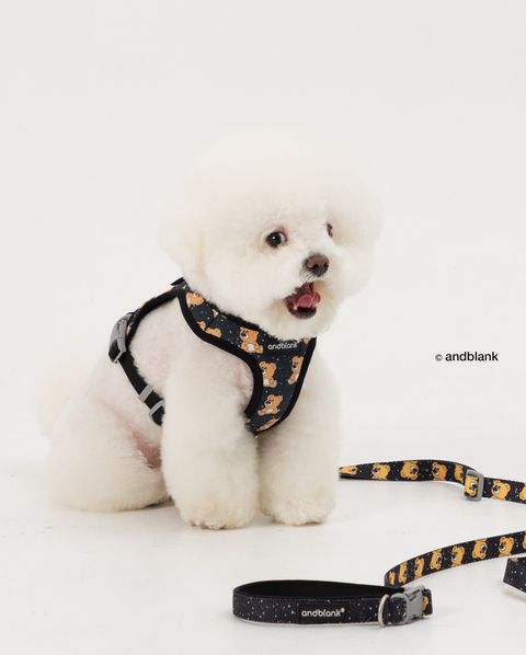 image_CB43A312-E956-4756-AB29-F7A755CDDCBE_1754312581