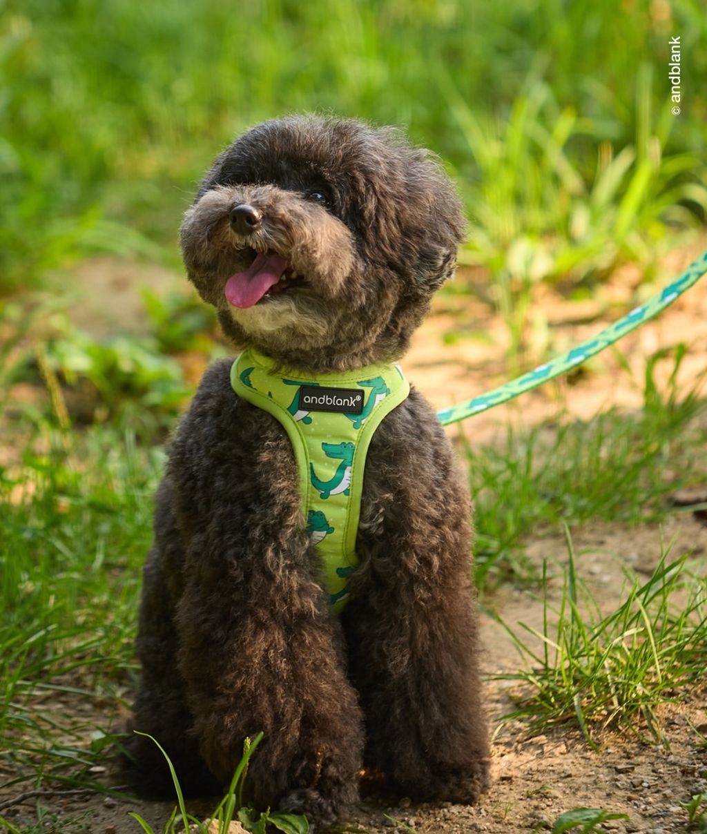 image_F79595F5-1CE1-452E-ADE3-BBAB58DBB32E_1754312581