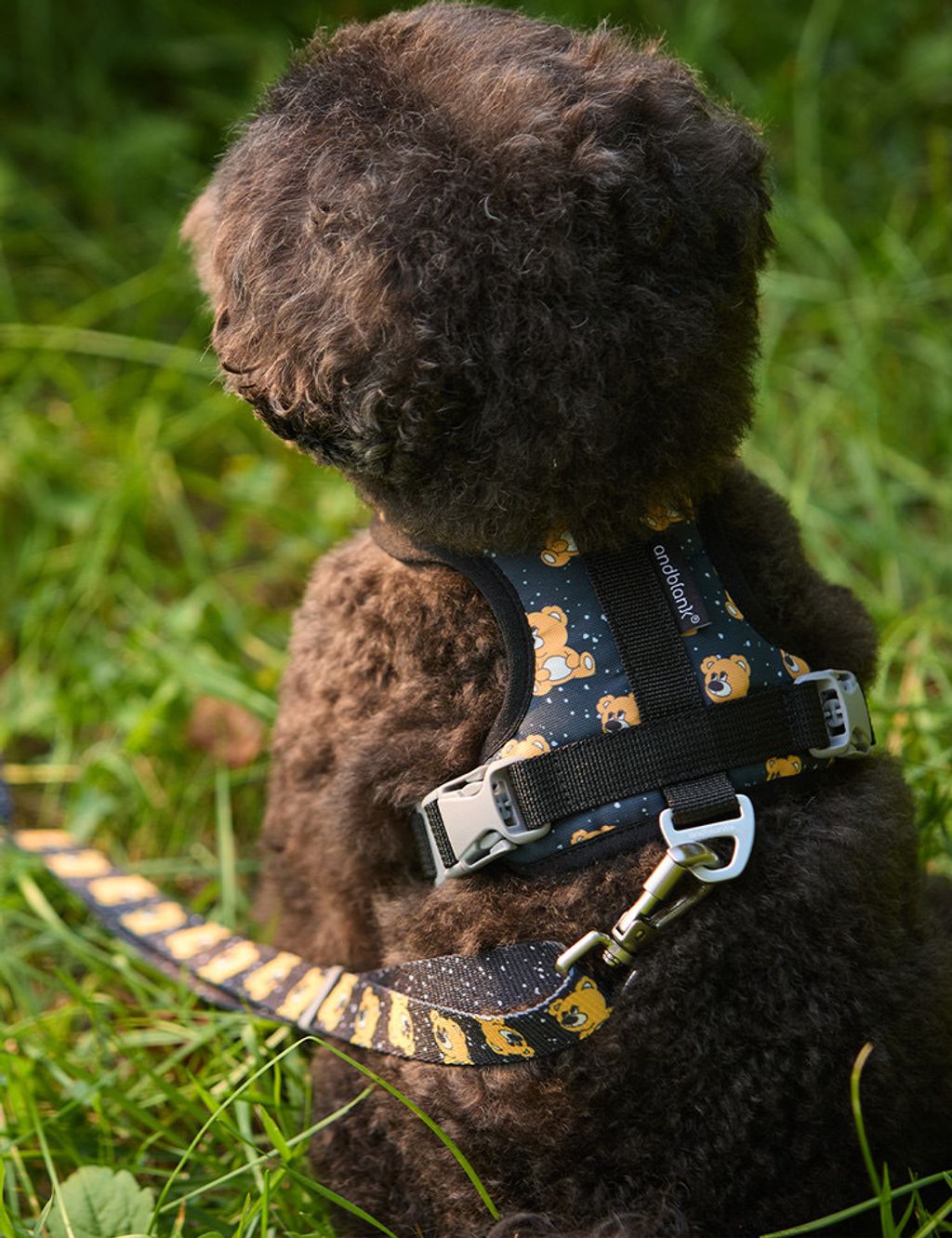 image_90134643-FC8A-408B-86AC-2F1948D879C4_1754312582