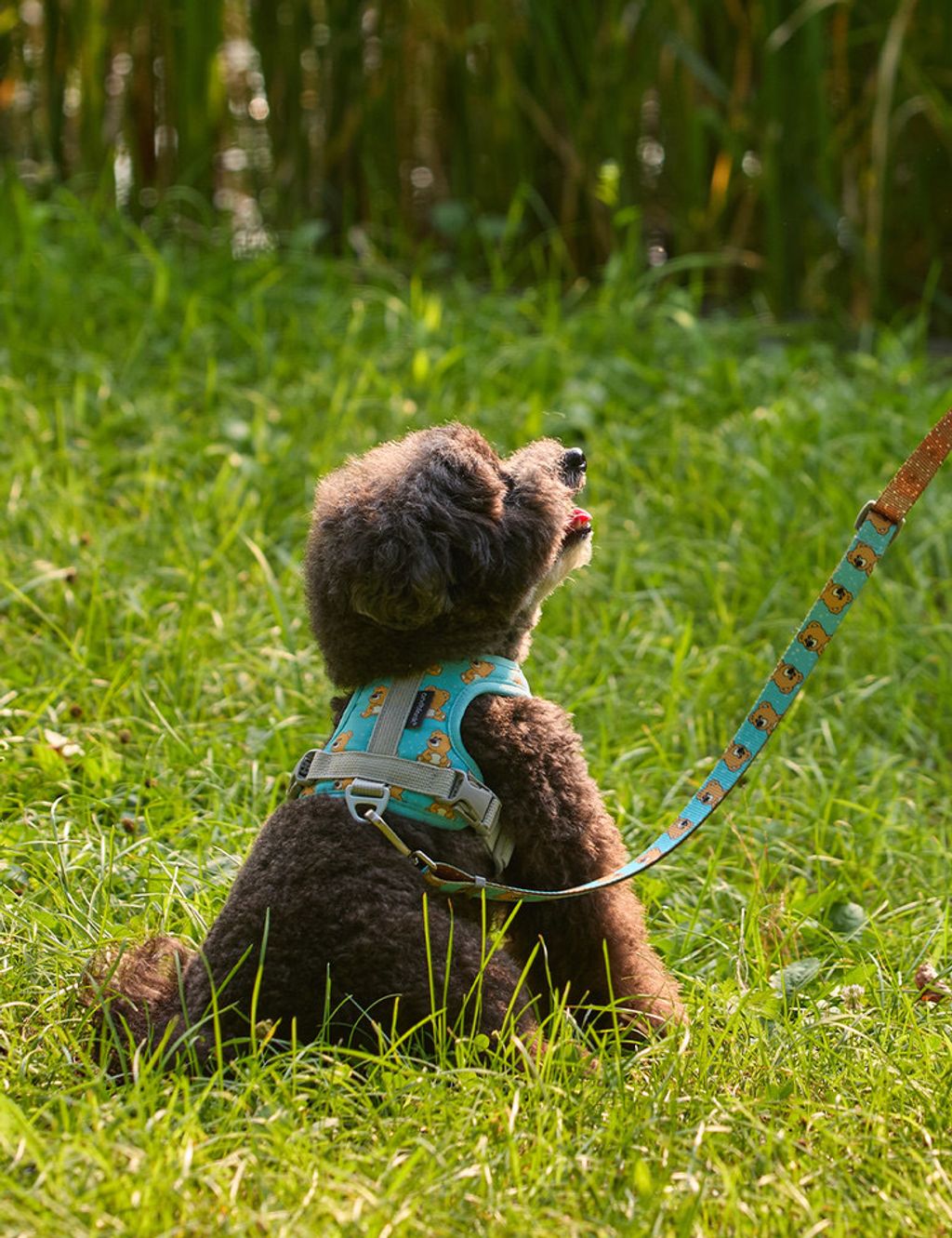 image_6519D950-9C38-4F30-8A91-1112885E26E2_1754312733