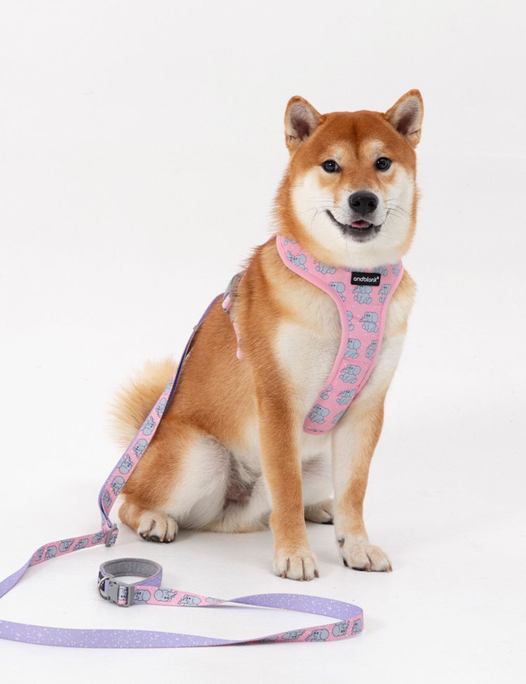 image_994A94AF-7F82-47AA-9C89-9646DDA00D76_1754312733