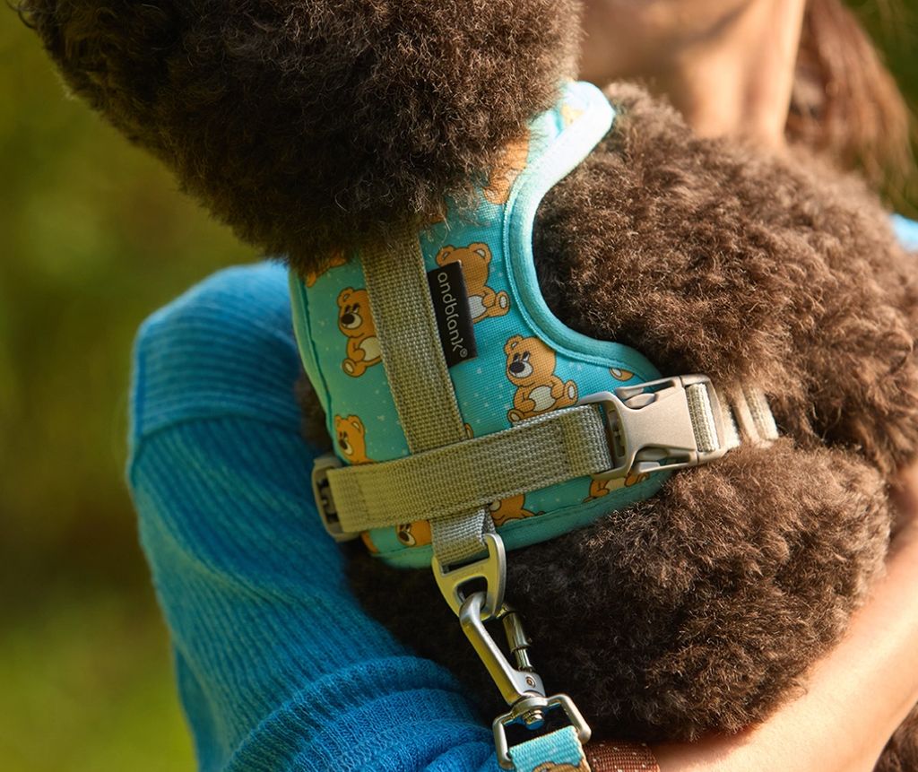 image_01F0658A-82A3-43A4-9D78-0EA484B4E32C_1754312581