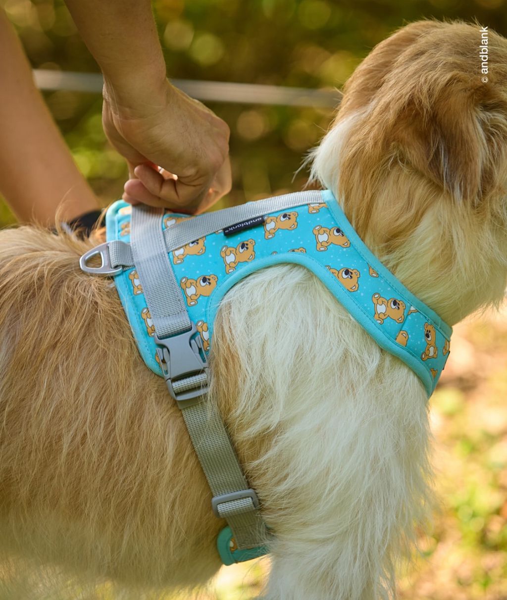 image_0D4D2300-FED2-4022-8FD9-FB543A44BD27_1754312581