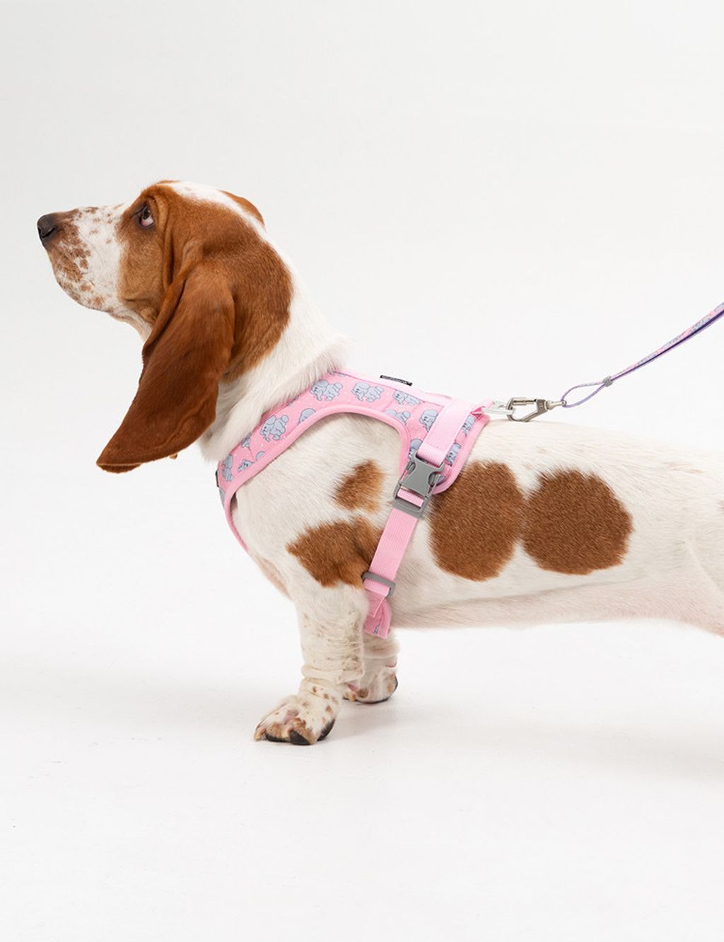 image_23F5F18D-6BA6-4C64-A54B-D679CC07D766_1754312582