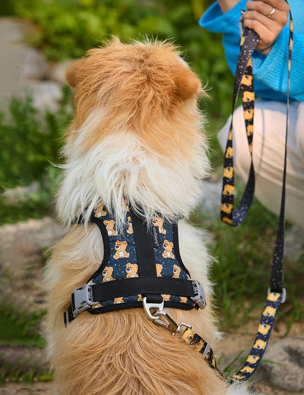 image_E59ED1B6-A082-406B-9876-0722F29FB492_1754312582