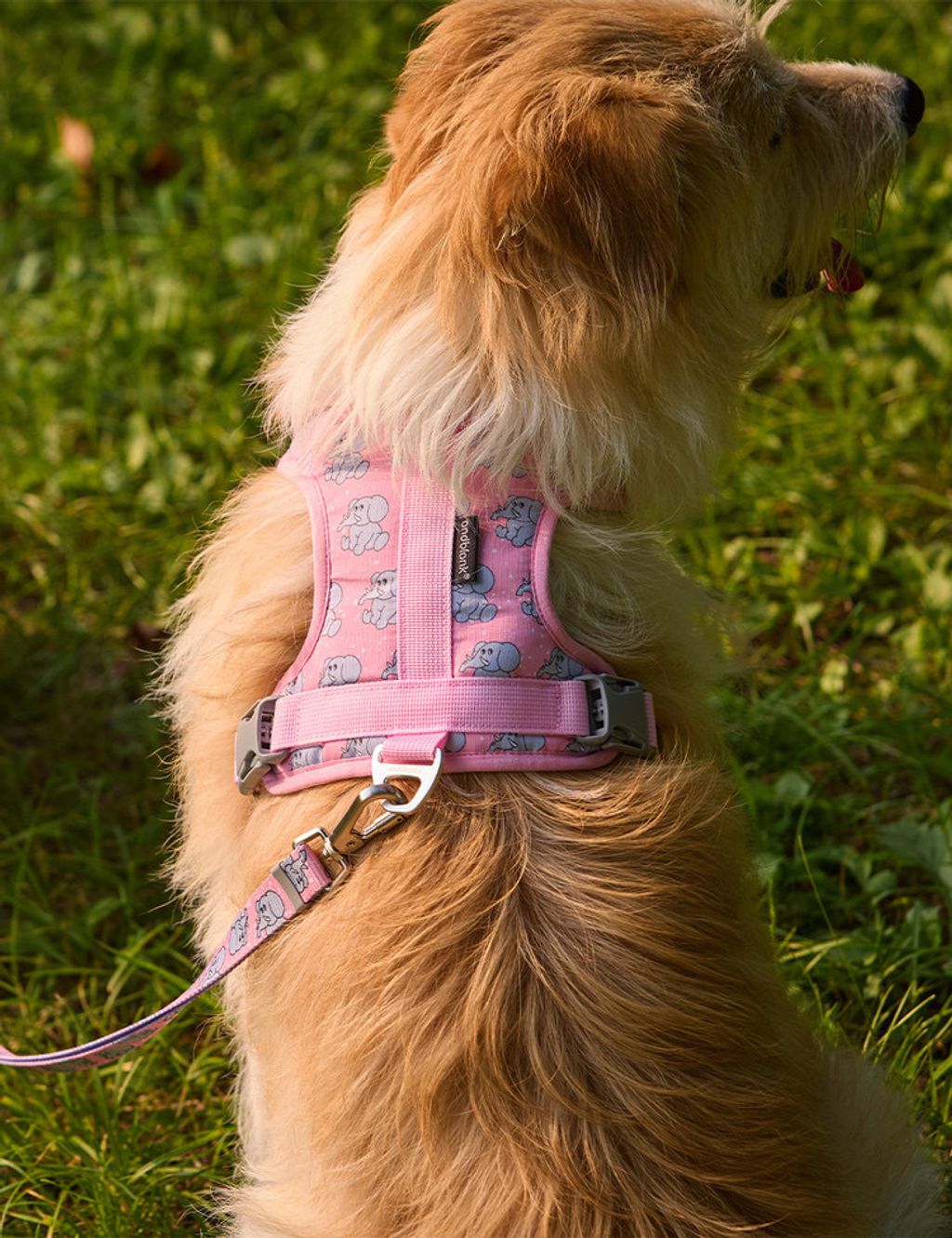 image_3936BCCD-1BCB-491B-AB6A-153EFCE87809_1754312582