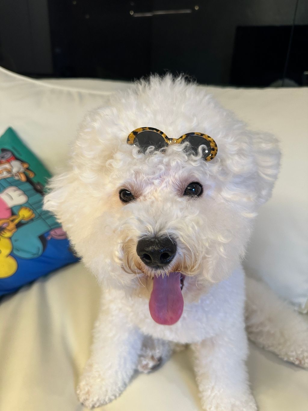 image_B1FDCA87-EE0E-45AE-9693-9B5C10B4D6E7_1754936229