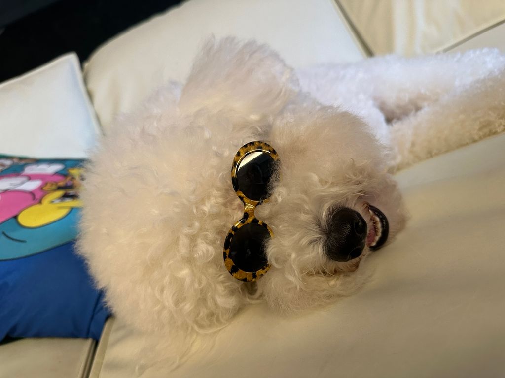 image_1FF0D836-9163-4A3C-BD2A-5091EC4C46D2_1754936229