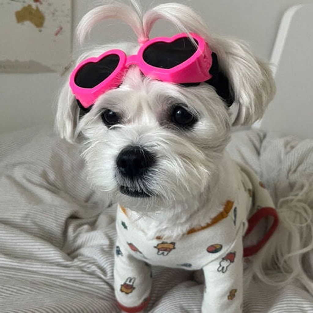 69ee22b6d4332c810080e8af328dc5c8