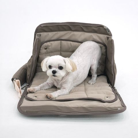 image_A8CFB723-73E2-4B36-8F69-17DA225DC3FE_1755981187