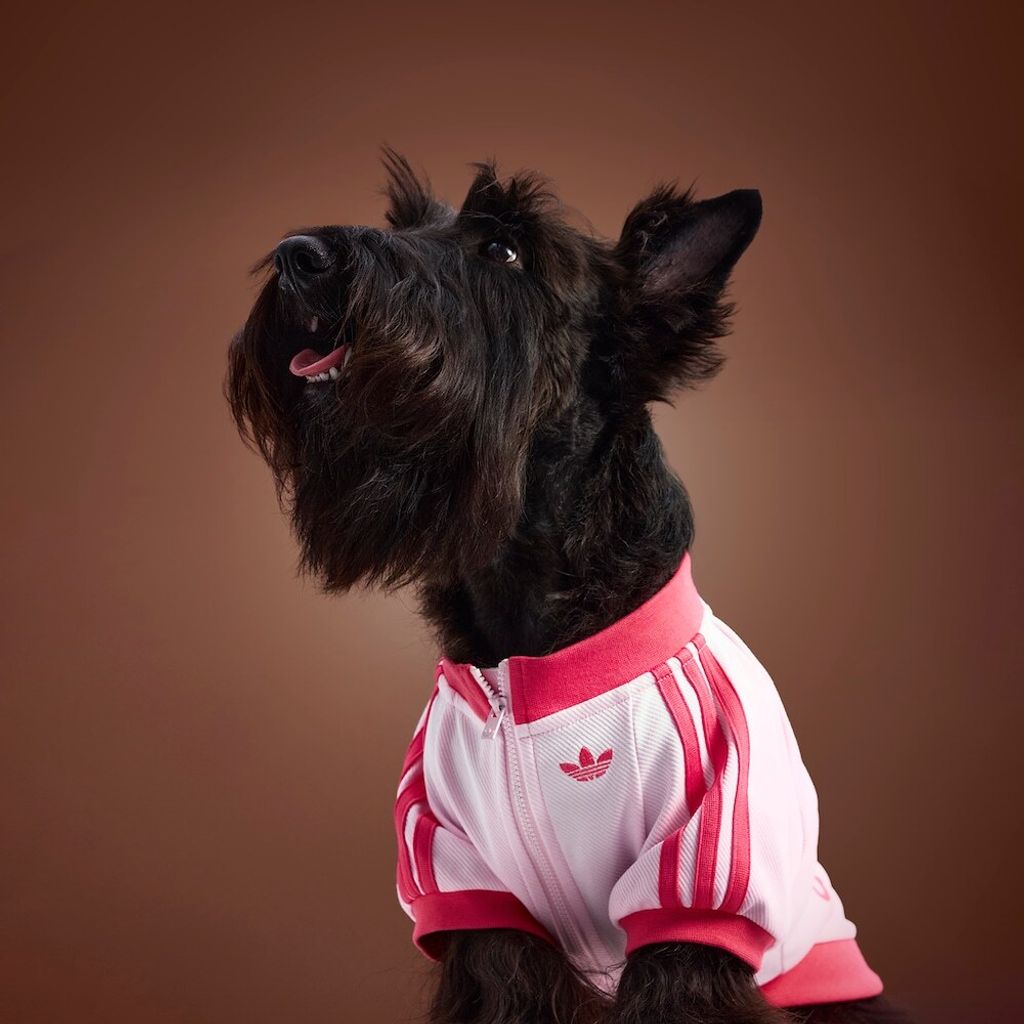 image_7E7508DE-2E41-471B-911F-0BBB6F2B6940_1759208081