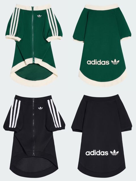 image_3C2003CA-56C4-4C49-A7F5-2981C379A430_1759208081