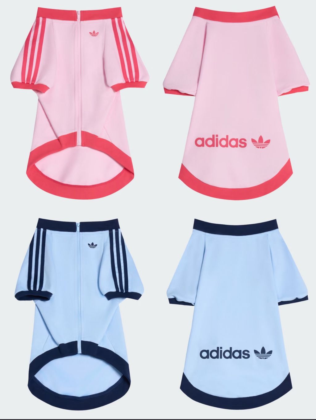 image_06C81A8F-0B24-4327-8BDB-00EDE6B6E006_1759208081