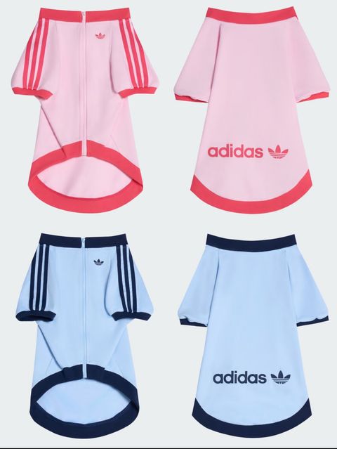 image_06C81A8F-0B24-4327-8BDB-00EDE6B6E006_1759208081