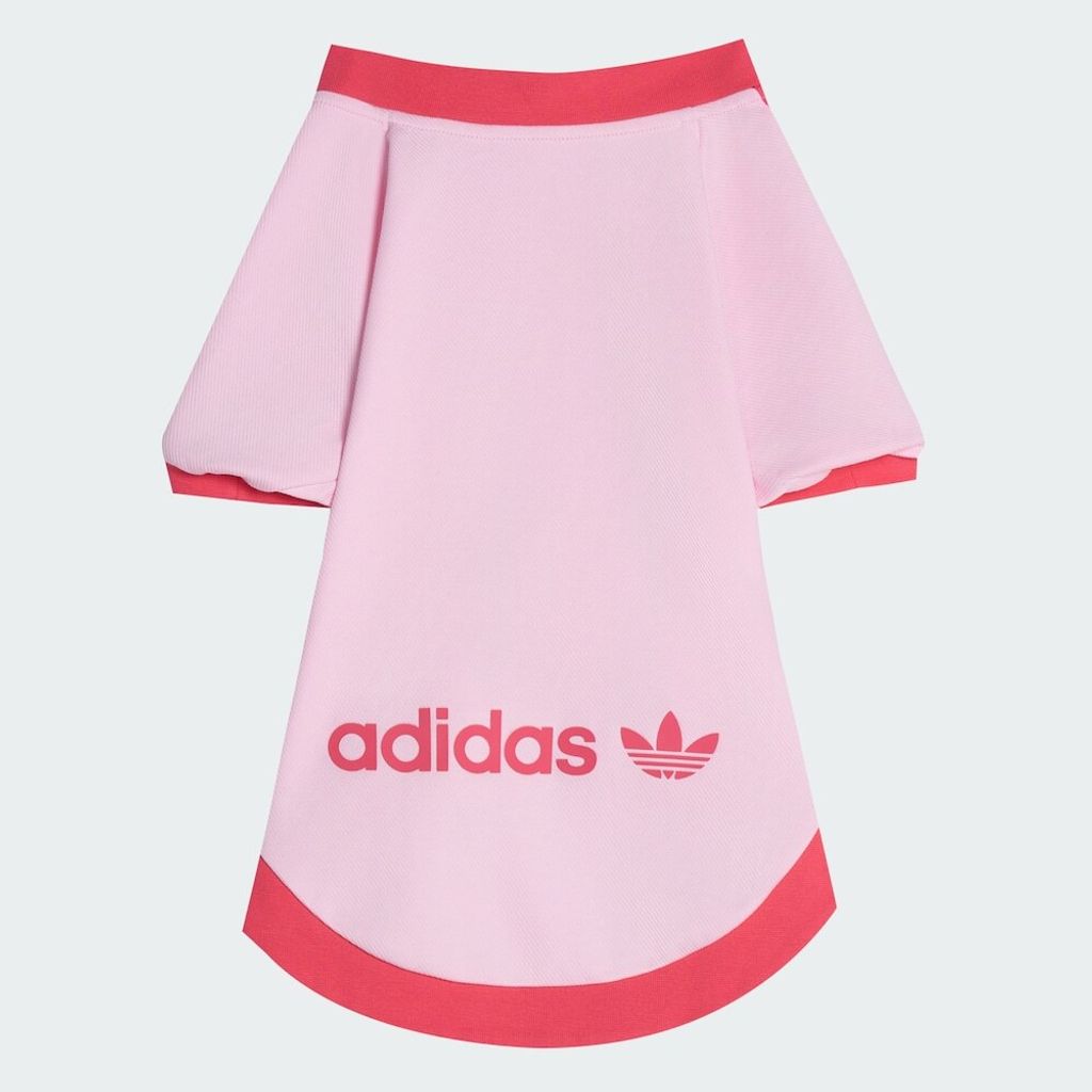 image_49D5B749-0E5A-440C-A197-D6D8A4B4DB1C_1759208081