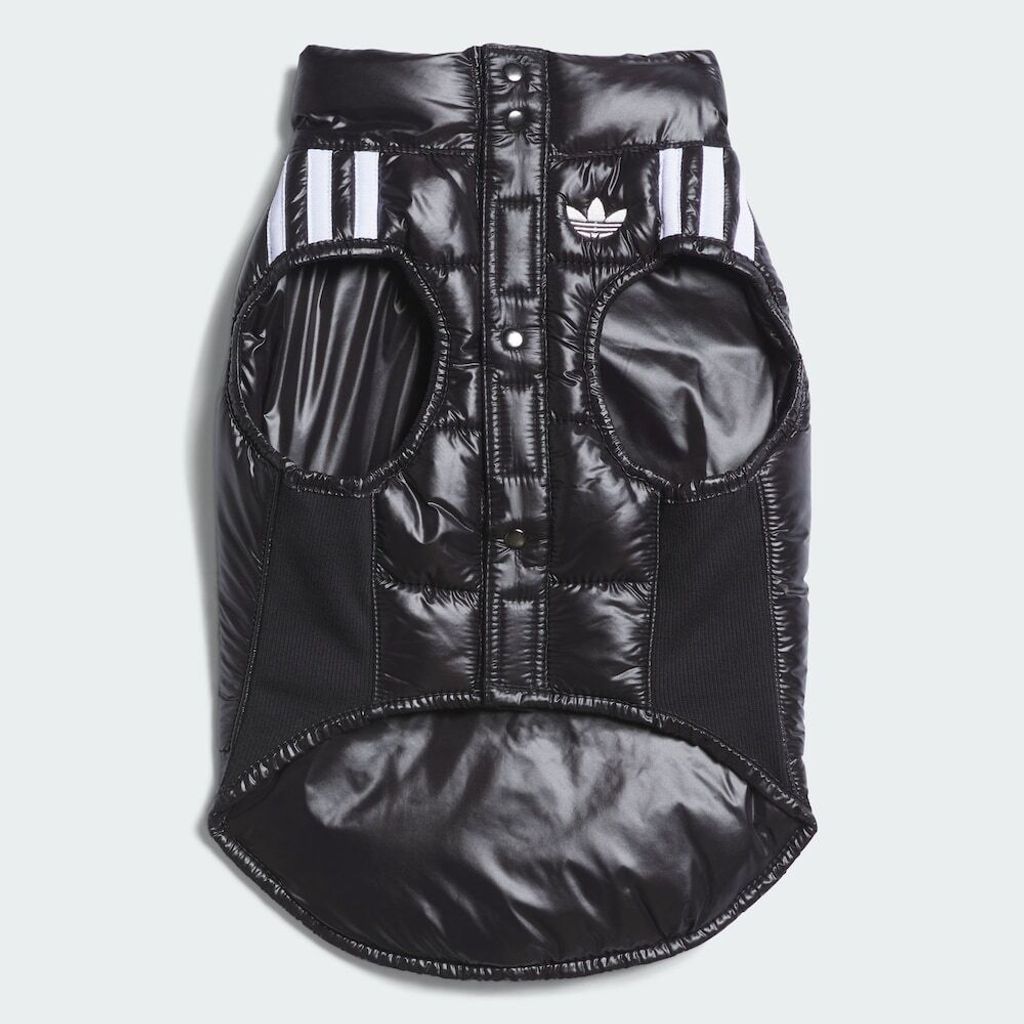 image_CDA78531-906F-48F6-AB31-BEBB56E8EC8F_1759388101