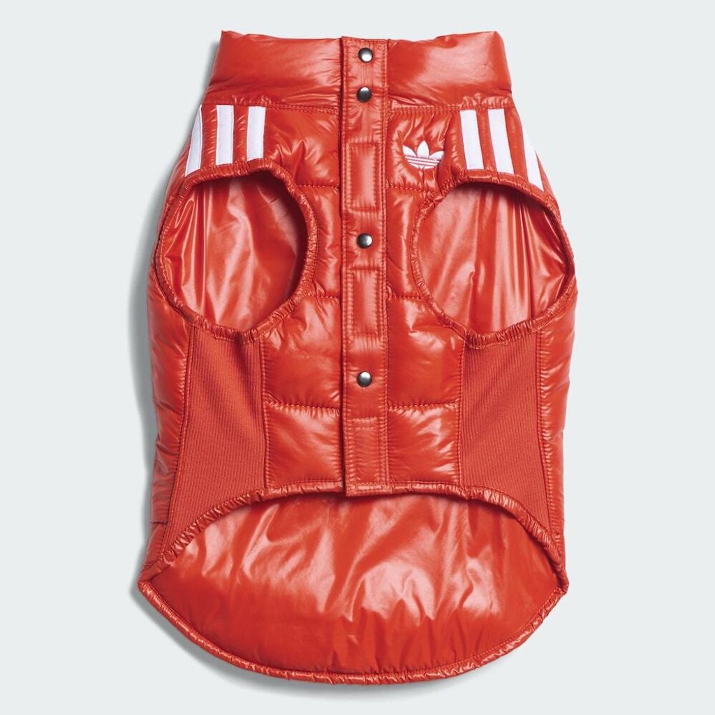 image_A14B5BD0-49FB-48A0-8F3A-7833A7AB8FA7_1759388101