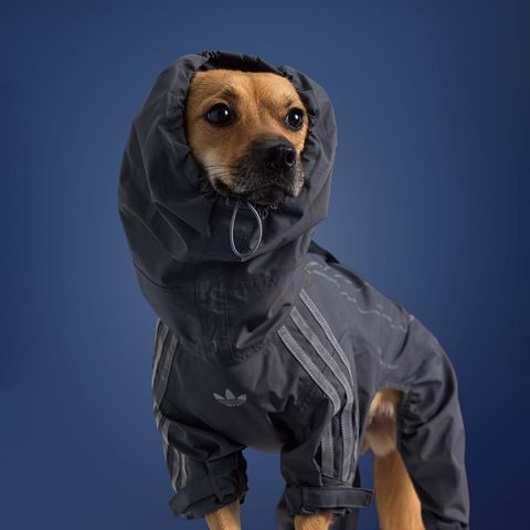 image_18AA77E2-3210-4301-B00B-A49FD9A554D9_1759388930