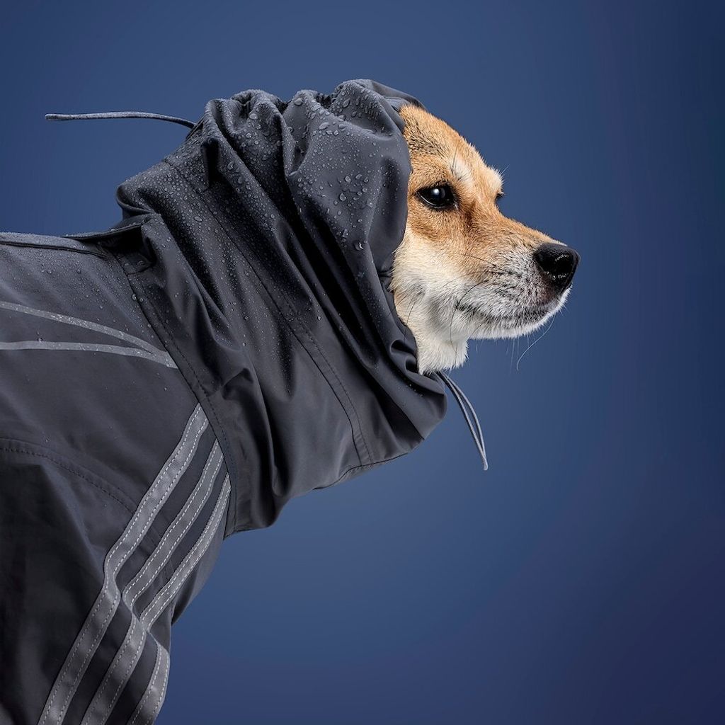 image_9D25409D-C29F-46F9-B2E9-97DB2A633367_1759388930