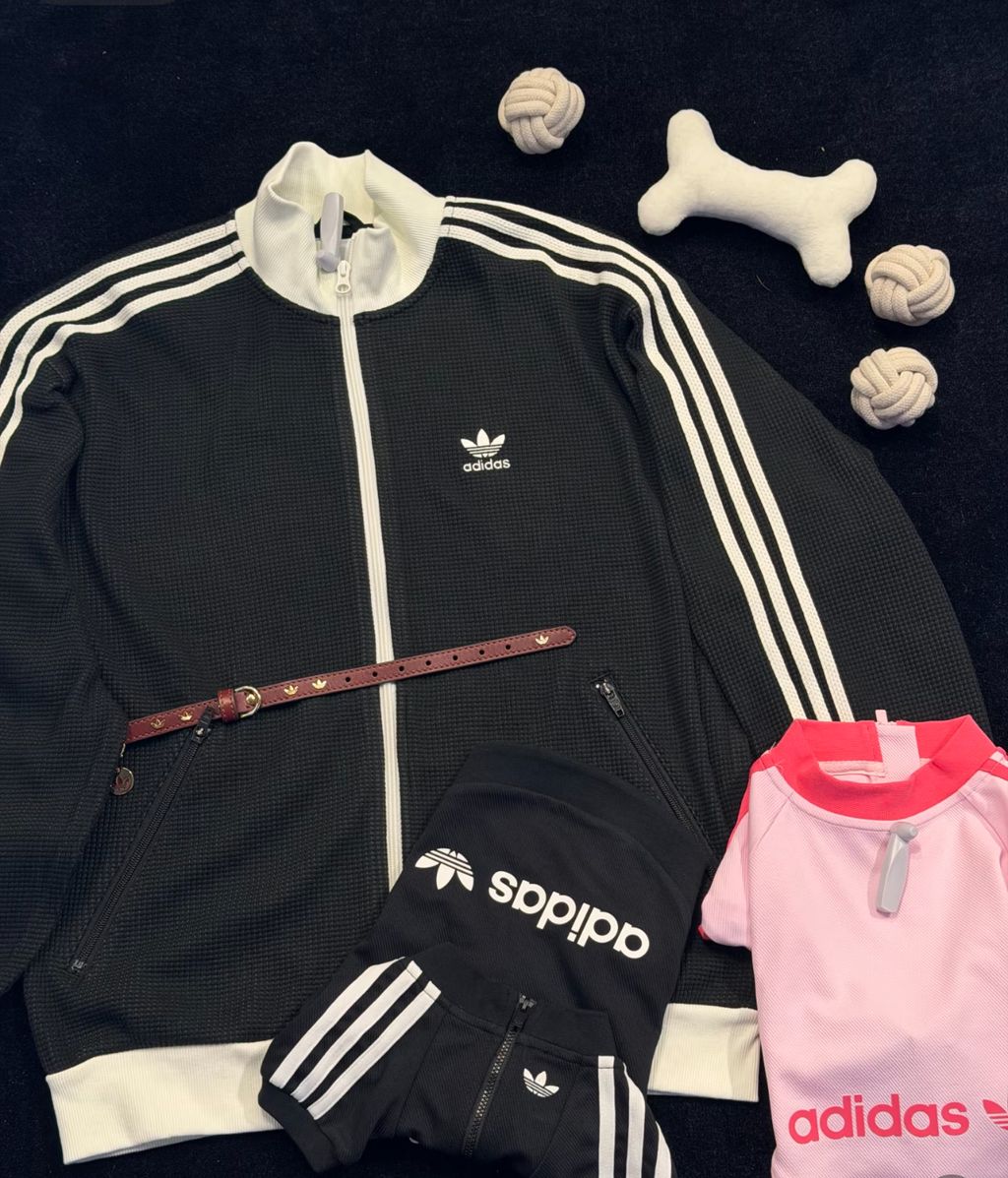 image_F795F829-2BE9-4D16-B2C5-E145D9B8C751_1759414473