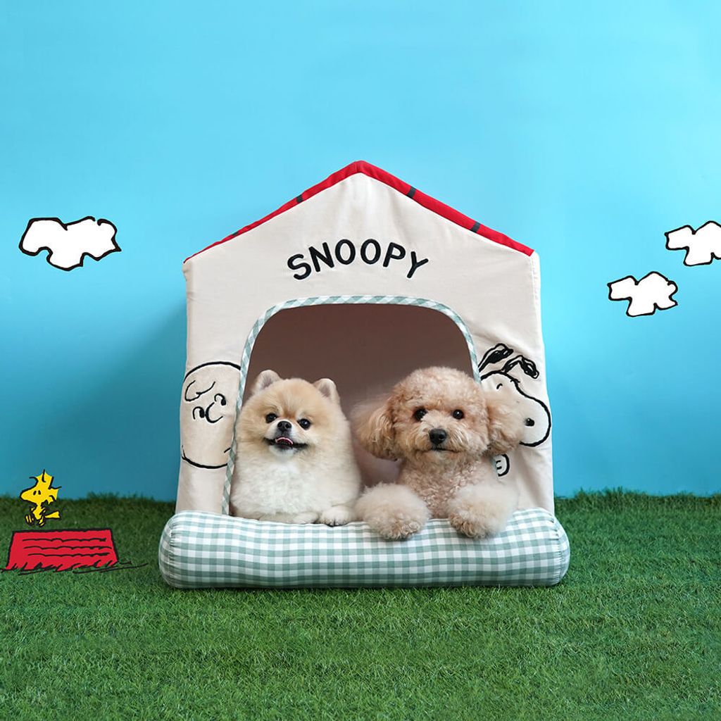 P-94.SNOOPY-FRAME-HOUSE-首圖