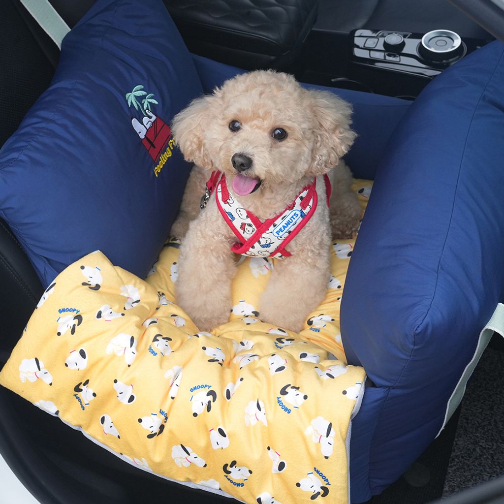 P-75.PEANUTS-FEELING-FREE-CAR-SEAT-首圖