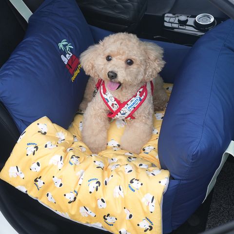 P-75.PEANUTS-FEELING-FREE-CAR-SEAT-首圖