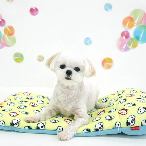 P-109.PEANUTS-BUBBLE-ICE-COOL-MULTI-CUSHION_首圖